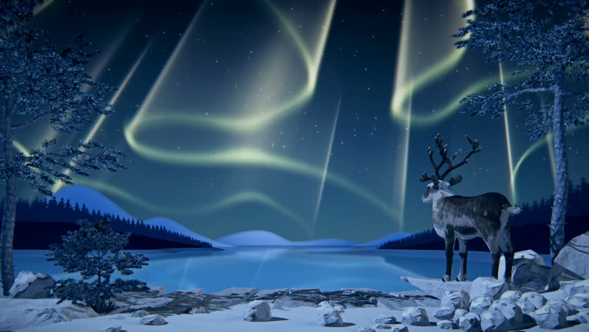 Reindeer Looks At Northern Lights (Aurora Borealis) Reflected On A Lake ...