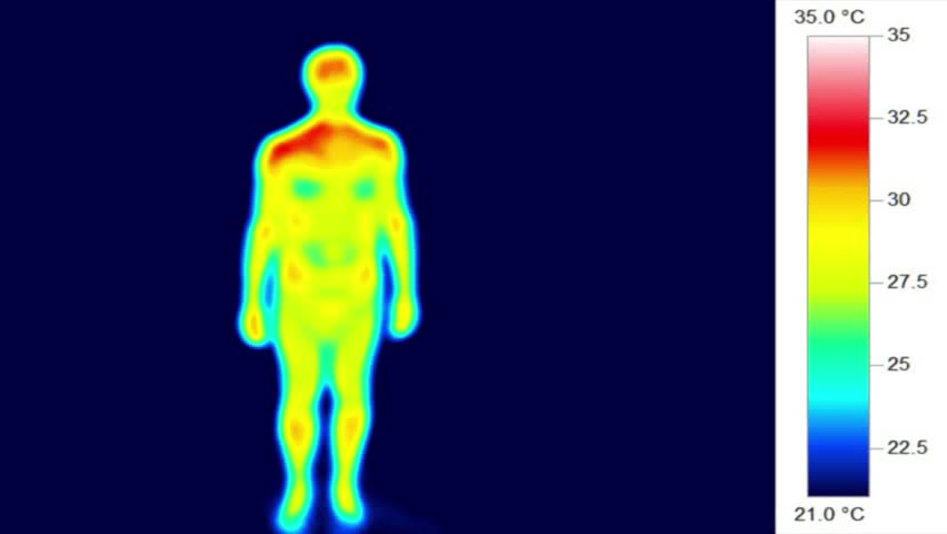 Теплые тела. Термография в рекламе. 1.3 Синхронная инфракрасная термография электрокомпонента. Infrared ray Human body Inductor. Infrared Thermography monitoring Heat Greenhouse.