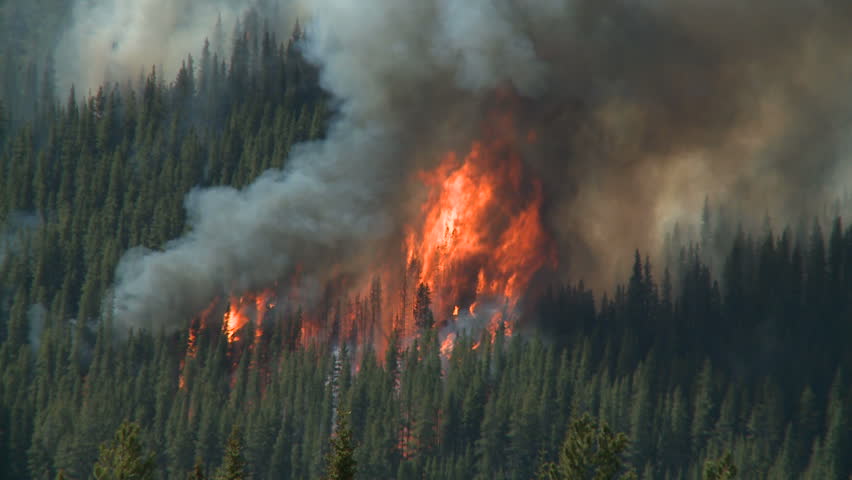 Stock video of forest fire in the rocky mountains | 224245 | Shutterstock