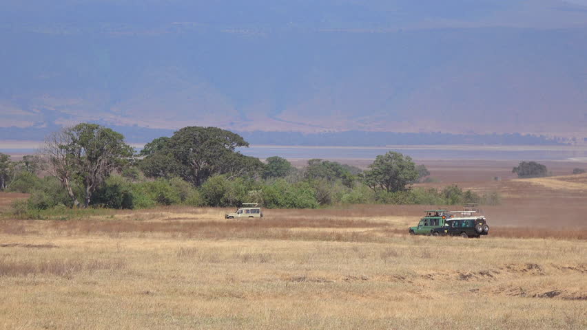 Header of Adansonia