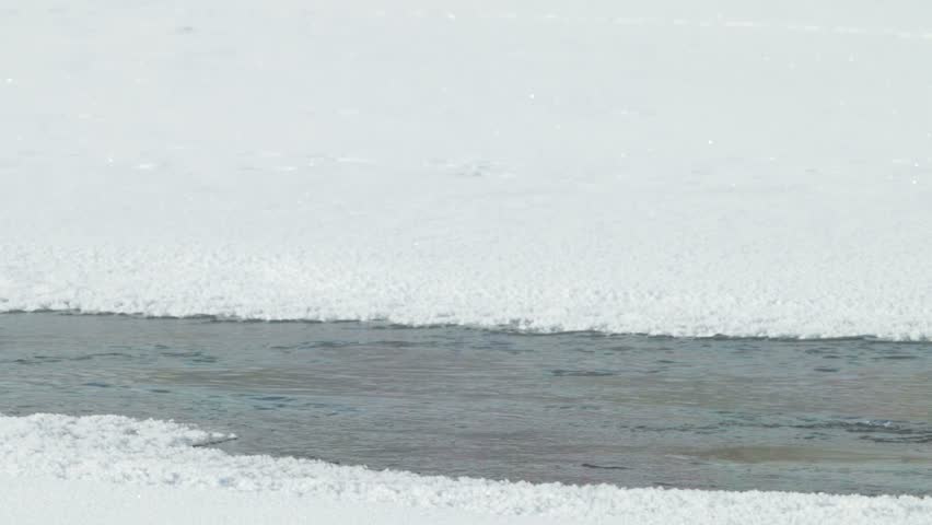 Header of polynya