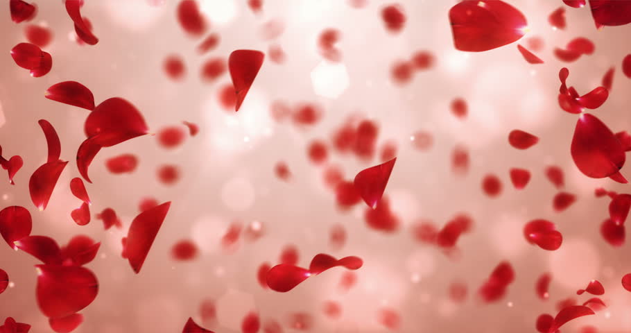 Romantic Flying Red Rose Flower Stock Footage Video 100 