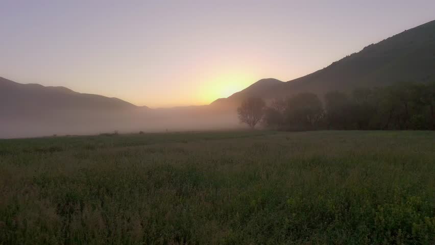 Header of fogy