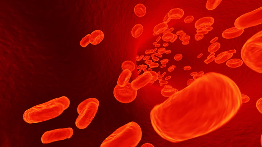 Stock video of blood flow | 2375675 | Shutterstock