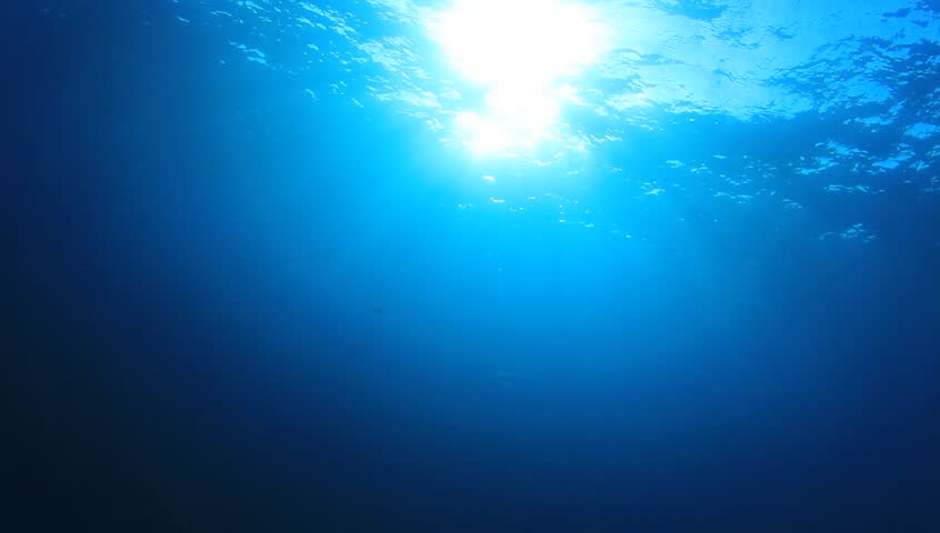 Underwater Video Footage in Ocean. Stock Footage Video (100% Royalty ...