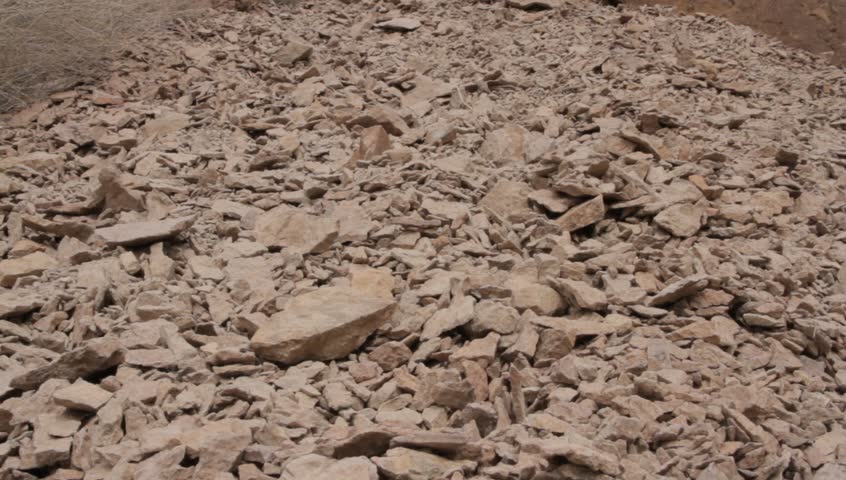 Header of scree