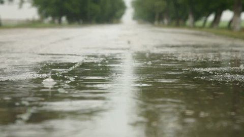 Raindrops Road Puddle Surface Level Stock Footage Video (100% Royalty-free)  2624375 | Shutterstock