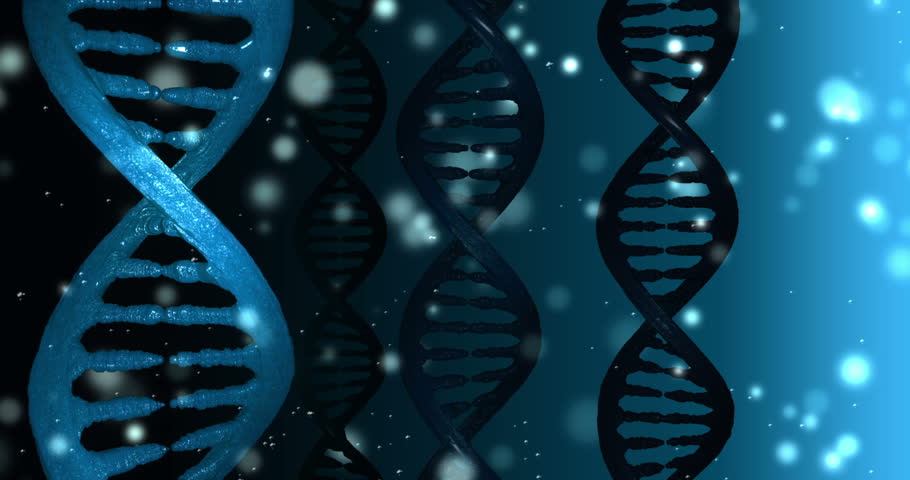 Looped Rotating DNA Strand, Seamless Loop (HD 1080p High Definition ...