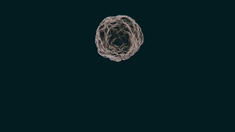 Animation Cancer Cell Replicating Quickly 4k Stock Footage Video (100% Royalty-free) 26402495 | Shutterstock Animation Cancer Cell Replicating Quickly 4k Stock Footage Video (100% Royalty-free) 26402495 | Shutterstock