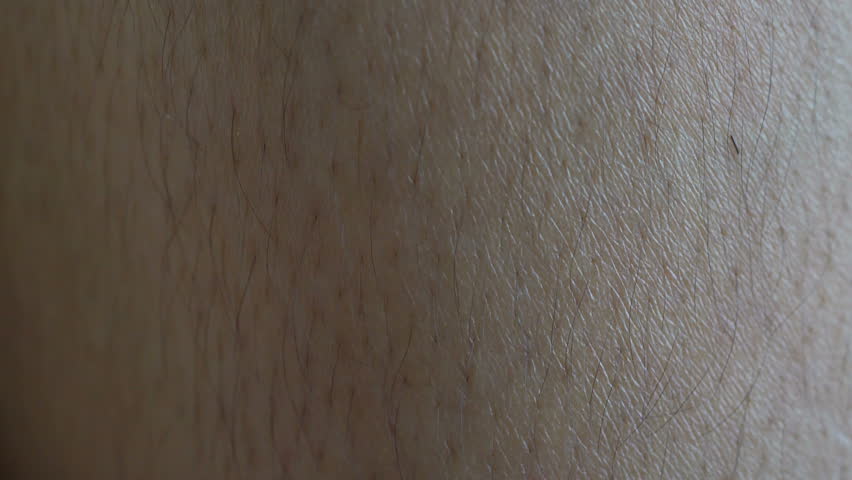 human skin closeup macro dolly stock footage 10828757 human skin closeup macro dolly stock footage 10828757 human skin closeup macro dolly stock footage 10828757 human skin closeup macro dolly stock footage 10828757