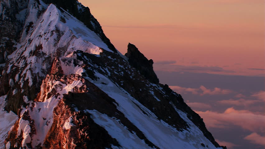 Header of Adams