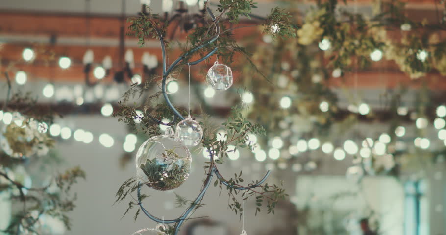 Ornaments Hanging From Branch Stock Footage Video 100