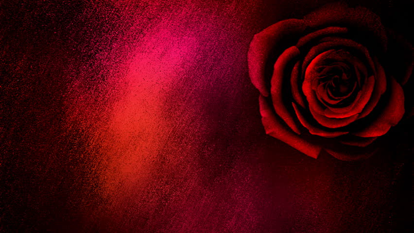 Download 107 Background Hd Rose HD Paling Keren