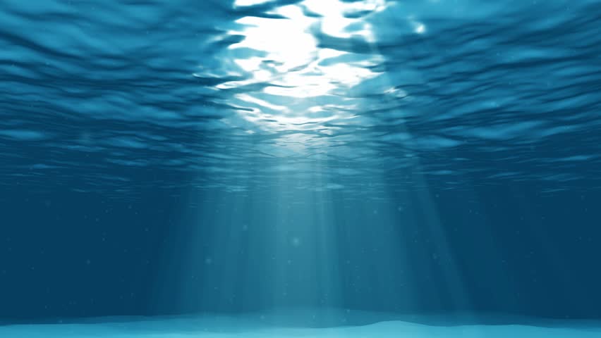 Underwater Stock Footage Video | Shutterstock