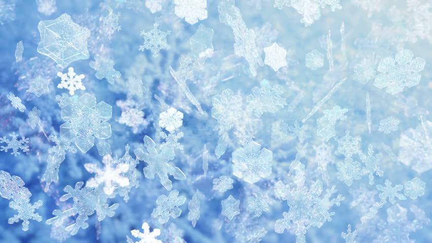 Snowflakes Falling Snowflakes Falling