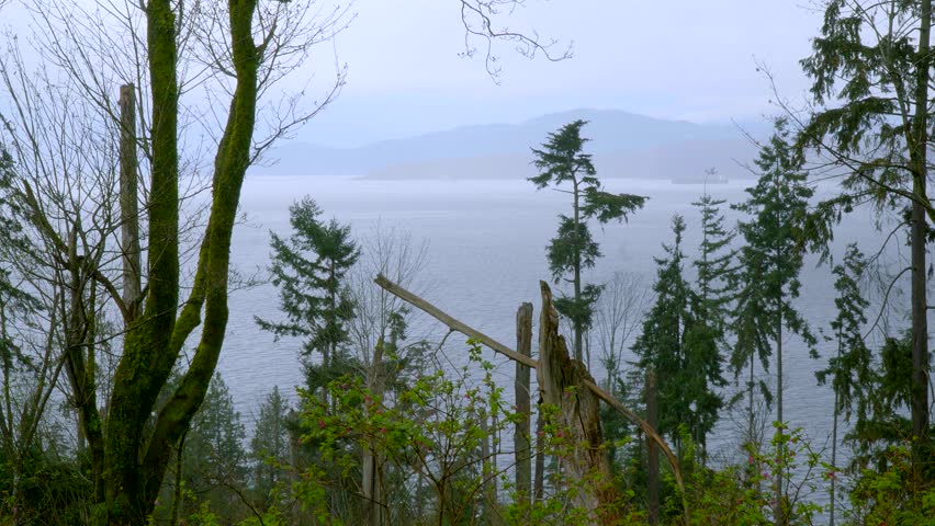 Header of Stanley