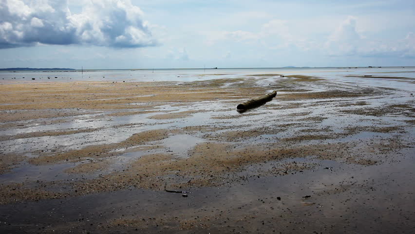 Low Tide Stock Footage Video | Shutterstock