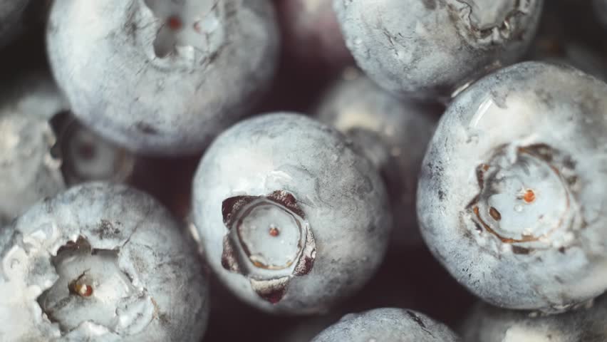 Header of huckleberry