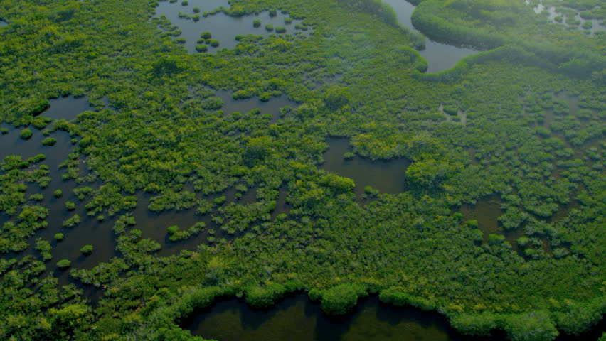 bio 100 florida national everglades Buy the complete 58 national parks in 51 surround sound on dvd: llectors-edition. bio 100 florida national everglades Buy the complete 58 national parks in 51 surround sound on dvd: llectors-edition.