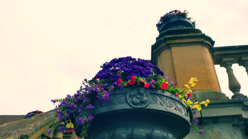 Header of flowerpot