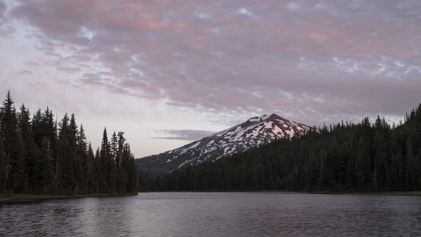Header of Todd