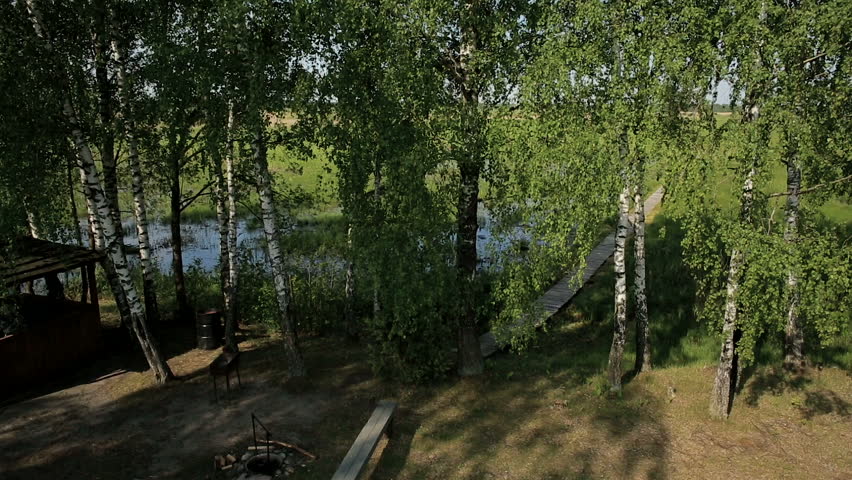Вершины берез отражались в зеркале пруда. Вершины берез отражались в зеркале пруда