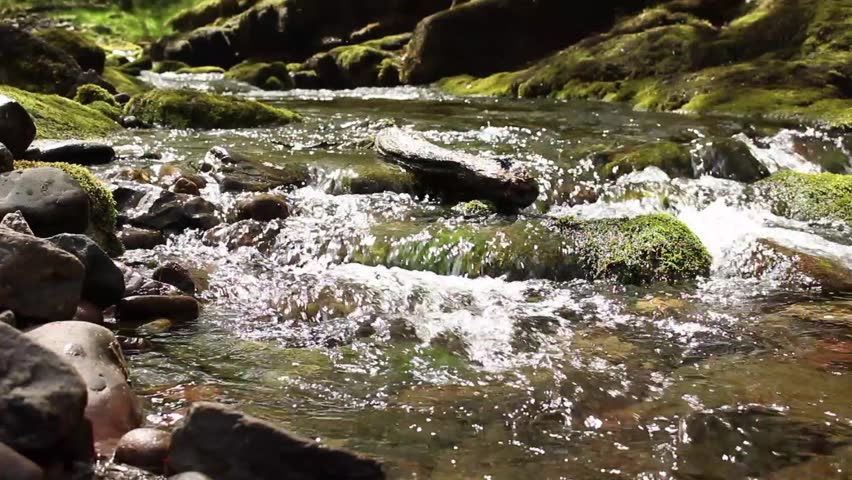 Header of downstream