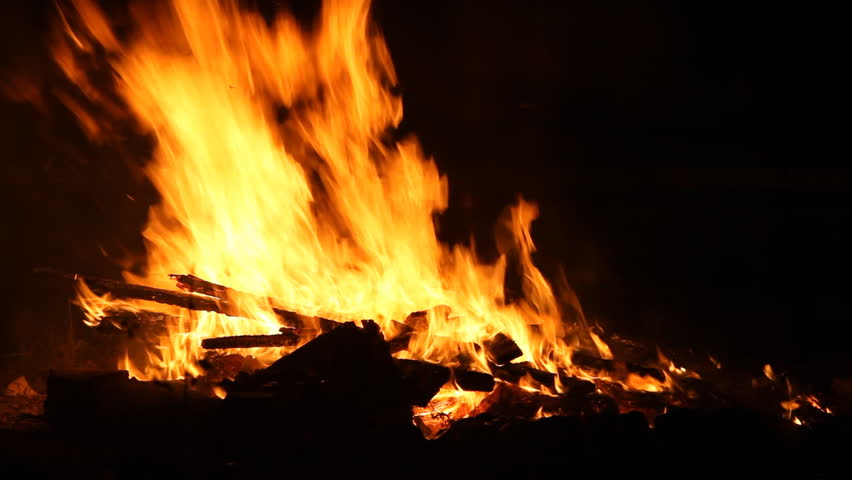 Bonfire Burning Trees At Night. Bonfire Burning Brightly, Heat, Light ...