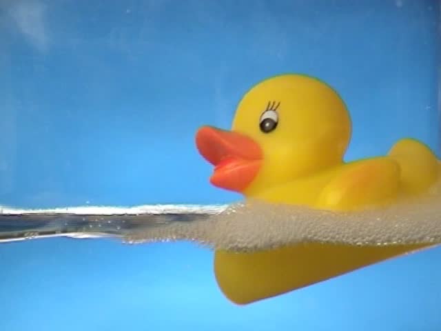 Stock video of rubber duck splash | 3070525 | Shutterstock