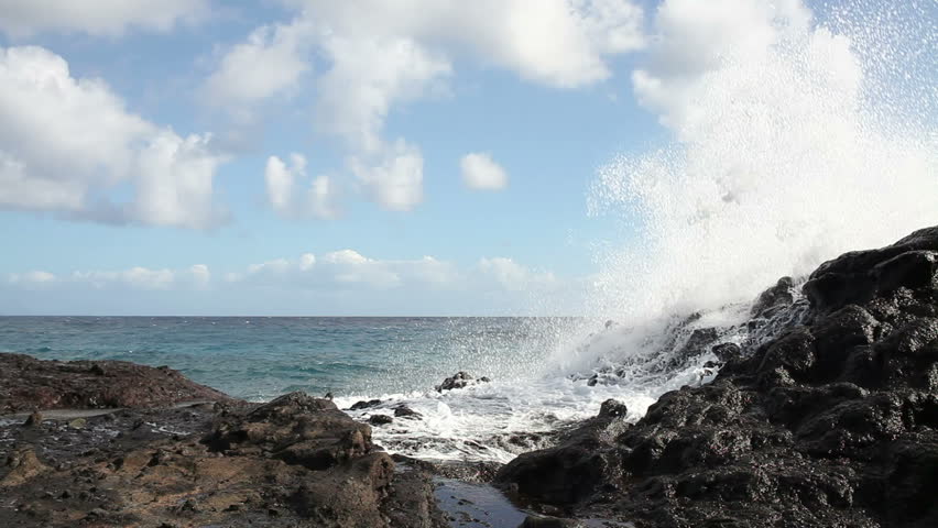 Header of Halona