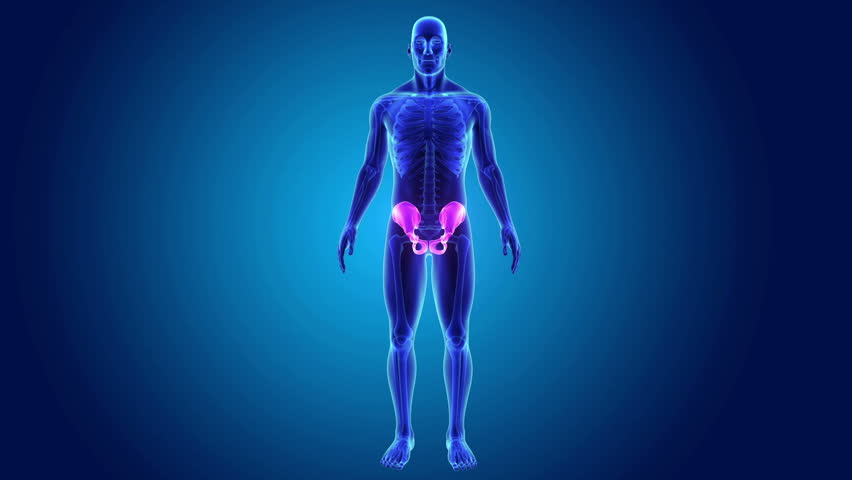 Header of girdle