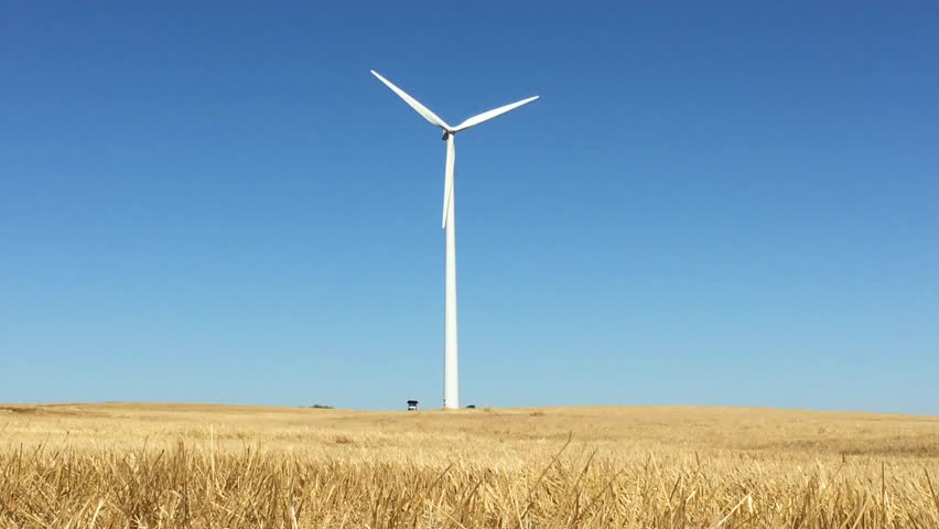 Single Blade Wind Turbine In Function And Plants Moving On A Windy Day