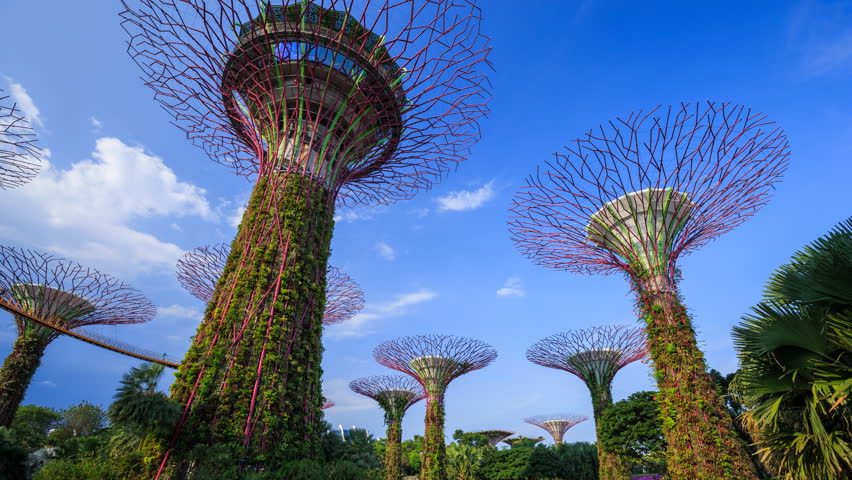 Garden By The Bay August 2017 garden city skyway stock footage video | shutterstock Garden By The Bay August 2017 garden city skyway stock footage video | shutterstock