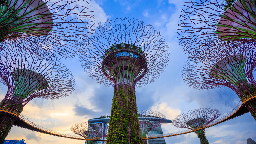 Garden By The Bay August 2017 garden city skyway stock footage video | shutterstock Garden By The Bay August 2017 garden city skyway stock footage video | shutterstock