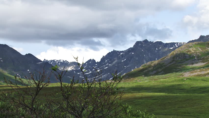 Header of Craigie