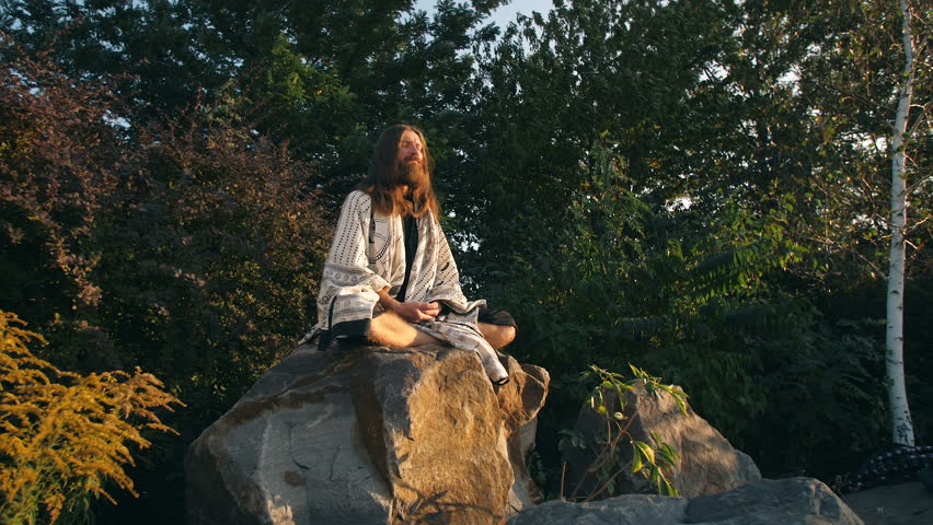 Header of yogi
