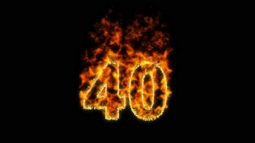 40 burning tree court
