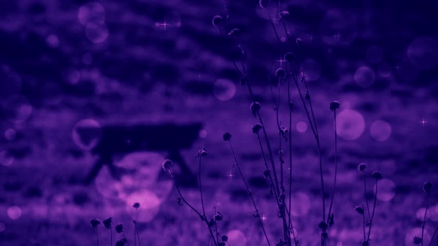 Blurred Christmas Nativity Video Background Stock Footage Video