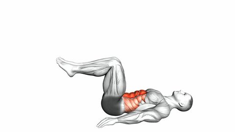 Reverse Crunch Exercise 3d Video Stock Footage Video (100% Royalty-free) 33735805 | Shutterstock Reverse Crunch Exercise 3d Video Stock Footage Video (100% Royalty-free) 33735805 | Shutterstock