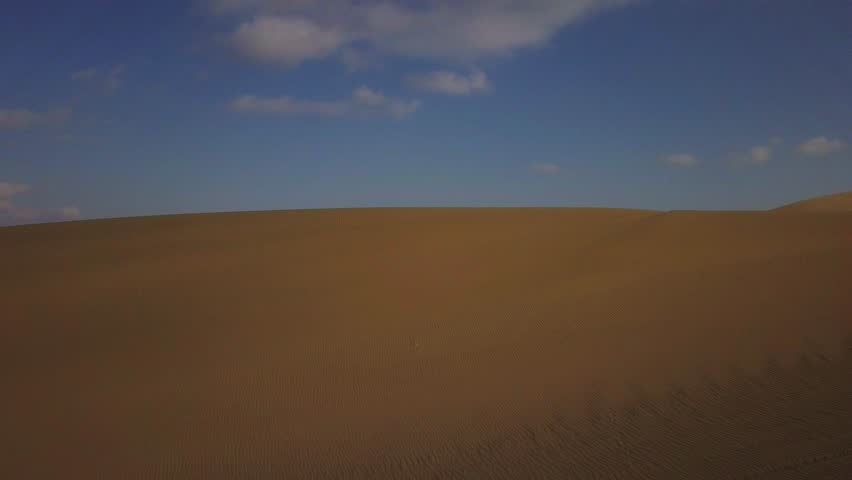 Header of Gobi