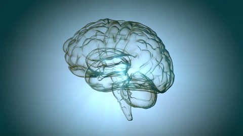 Brain Most Complex Organ Body Animation Stock Footage Video (100%  Royalty-free) 3633155 | Shutterstock