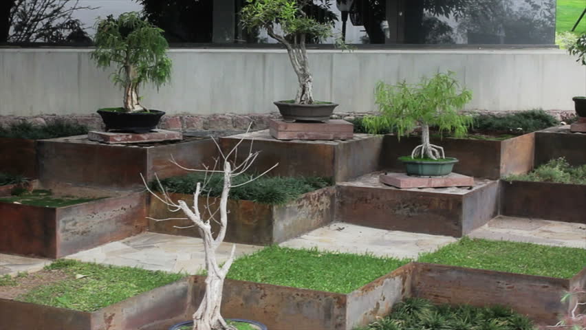 Stock video of garden of bonsai trees | 3947915 | Shutterstock