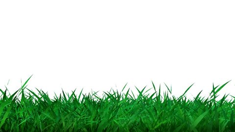 Animated Grass Stock Footage Video (100% Royalty-free) 40085 | Shutterstock