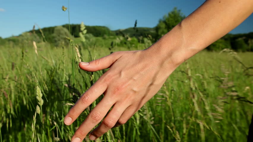 Touch some grass. Touch grass. Go Touch some grass. Touch grass Мем.