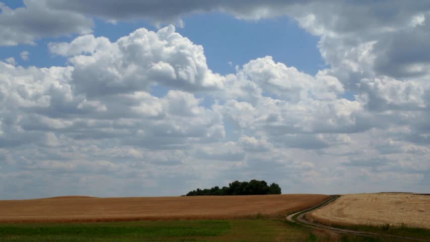 Overcast Sky Overcast Sky