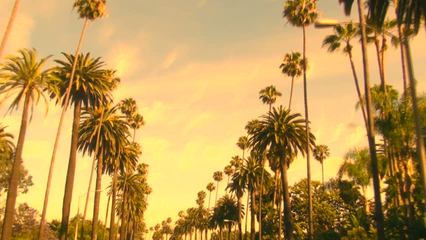 vintage wallpaper los angeles Los Footage Angeles Shutterstock