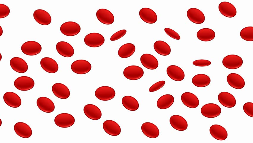 Streaming Blood Cells Isolated On Stock Footage Video (100% Royalty