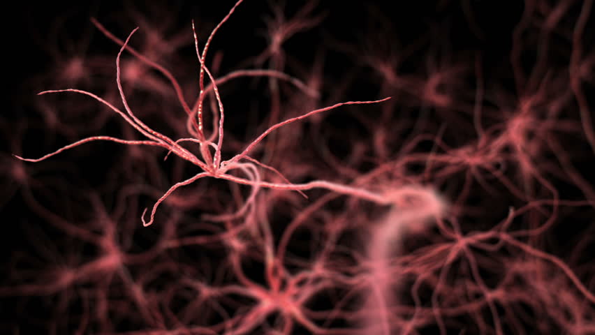 Neurone synapse network. Flight through brain. 3D animation. 
