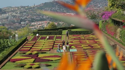 Funchal Madeiraportugal November 14 Stockvideos Filmmaterial