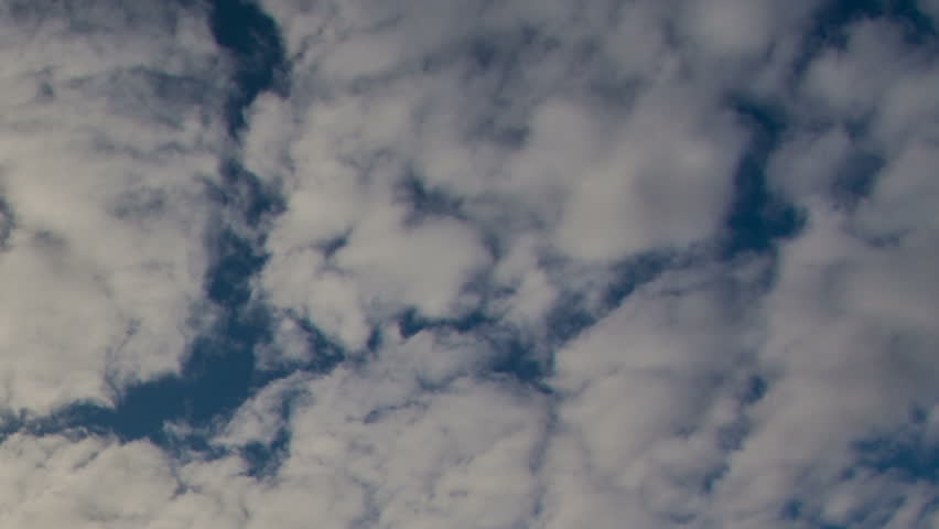 Header of patchy
